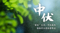 【三伏養(yǎng)生】至熱中伏，吃三樣，喝三樣，三大禁忌千萬別犯，小心落下病根！