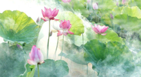 【養(yǎng)生知識(shí)】花開半夏，夏至養(yǎng)生，這些知識(shí)一定要牢記！
